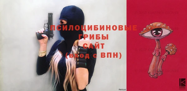 молекула духа Алзамай