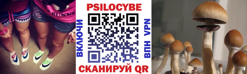 Галлюциногенные грибы мицелий  Керчь 